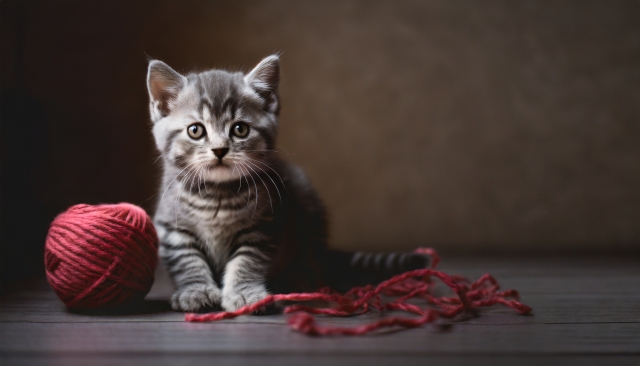 個別火葬の流れと心に寄り添う - 動愛園博多斎場での丁寧なお別れ