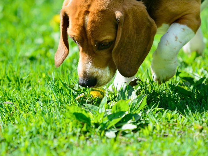 ご家族様の声【動愛園 博多斎場】