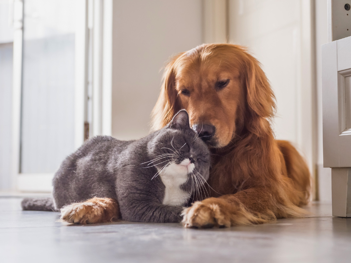 明光寺定例法要会のお知らせ
