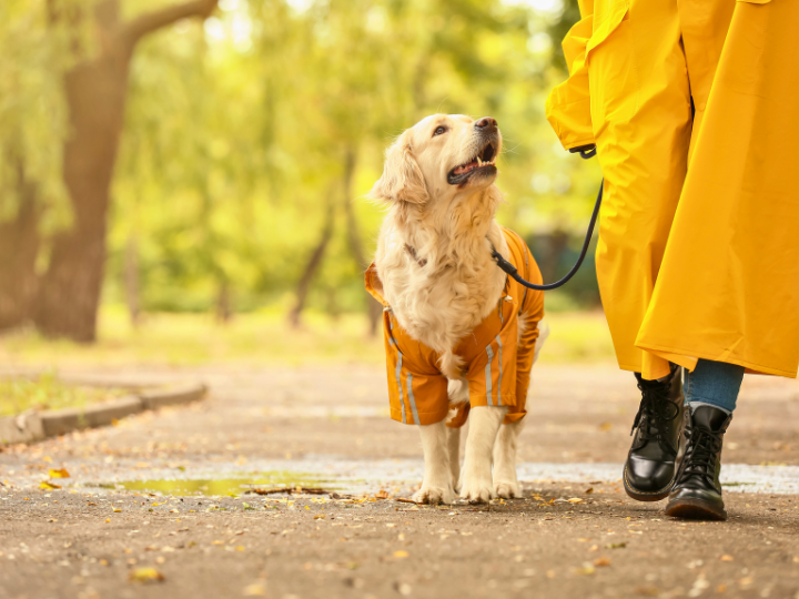 ご家族さまの声