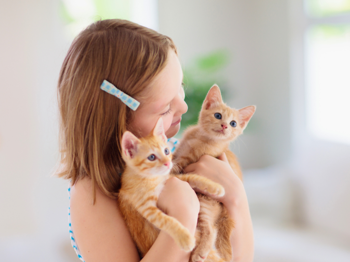 ご家族様の声【動愛園 博多斎場】