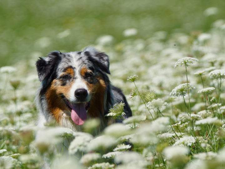 多様な納骨・埋葬【動愛園 博多斎場】