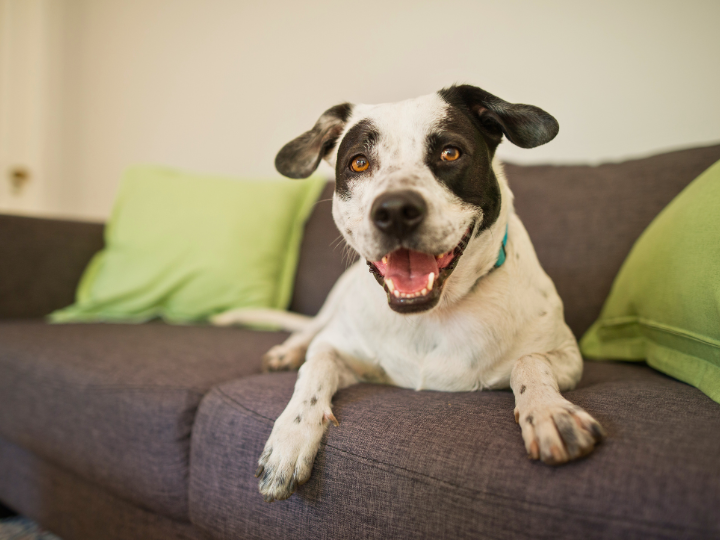 動愛園の料金についてのご案内
