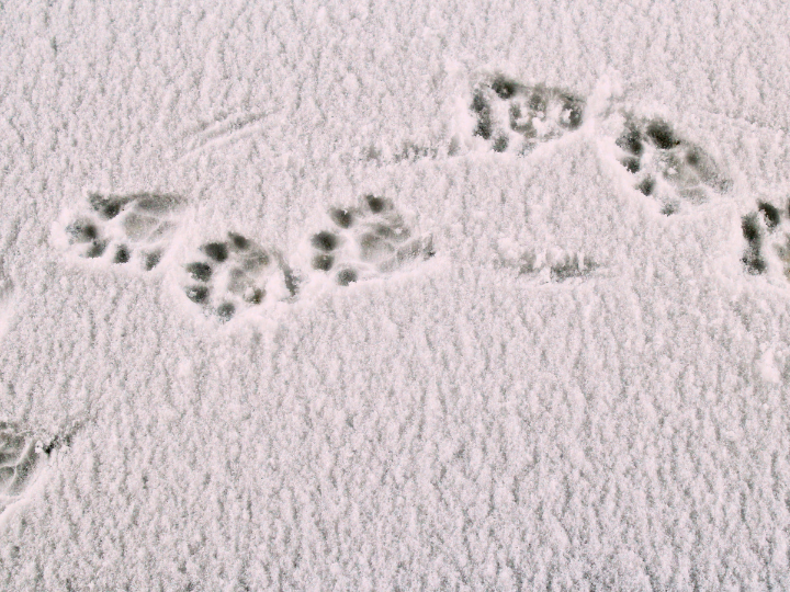 2024年8月明光寺定例法要会