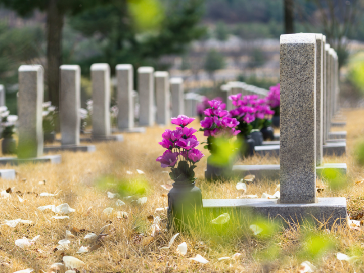 ペットのお墓の選び方とお手入れの方法