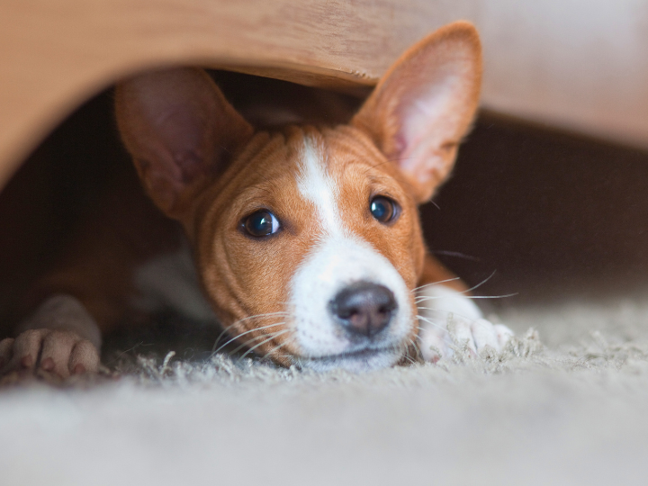 動愛園博多斎場の特徴とお客様の声