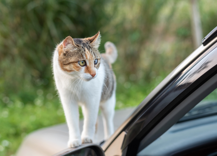 動愛園博多斎場へのアクセスと送迎サービス