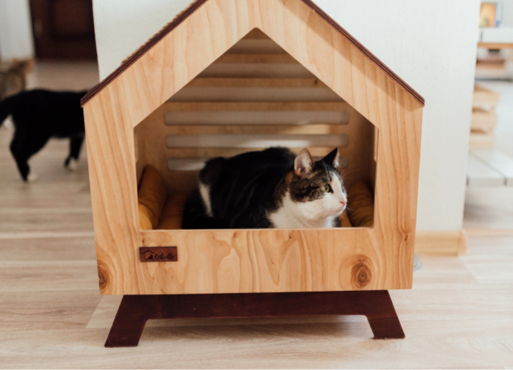 【ペットの手元供養】大切な遺骨を自宅で供養する方法と注意点