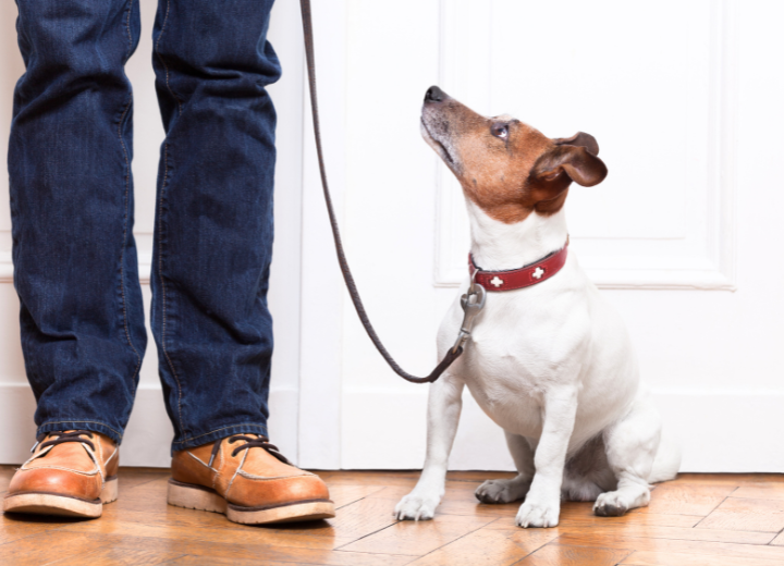 ペット斎場を見学する意味と申込方法