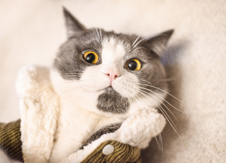 動愛園 博多斎場での火葬準備ガイド