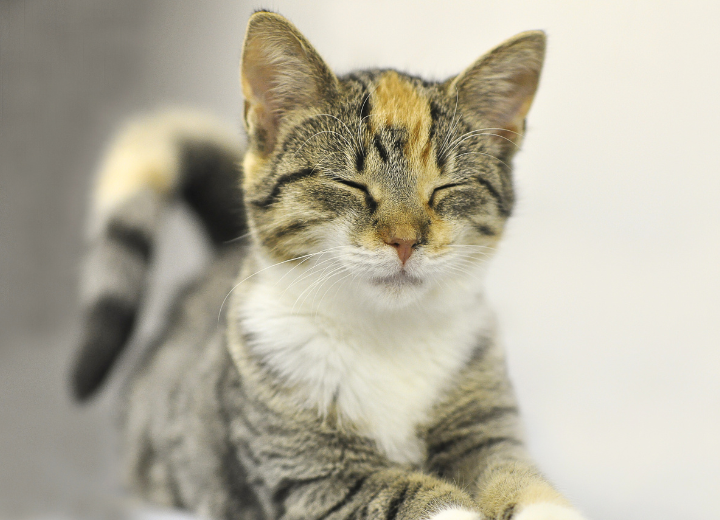 動愛園でできる納骨と供養のかたち