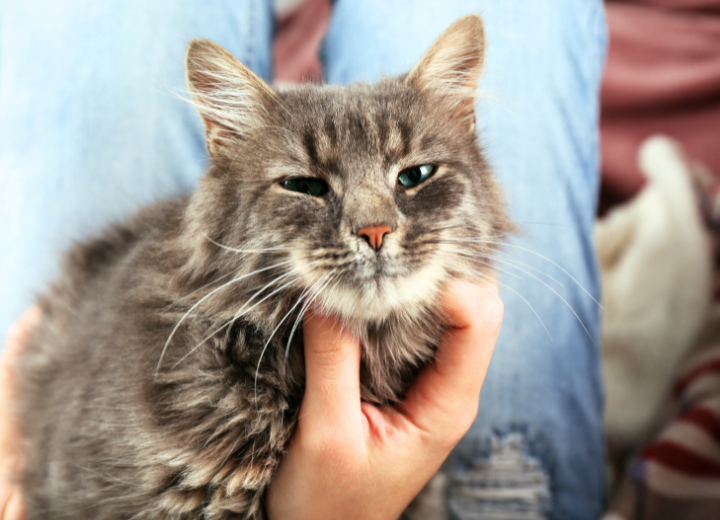 【動愛園】5月定例法要のご紹介