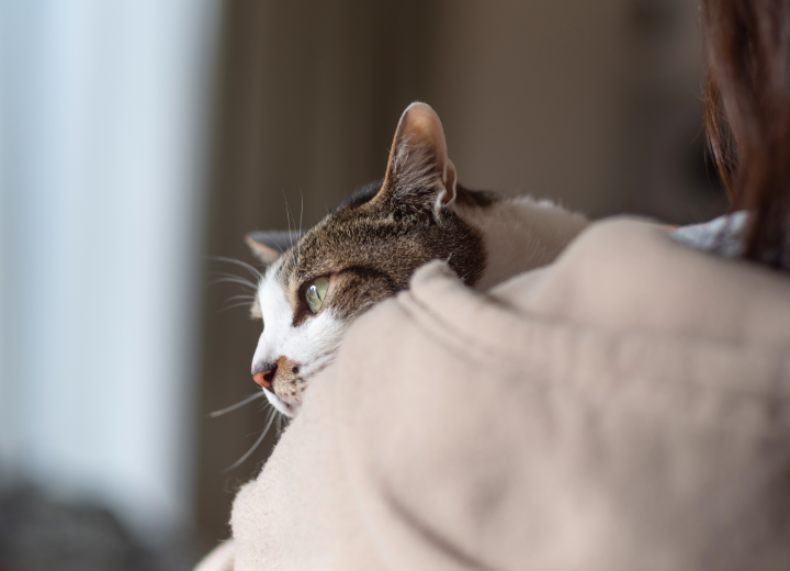 気持ちに寄り添う供養｜おまかせ合祀