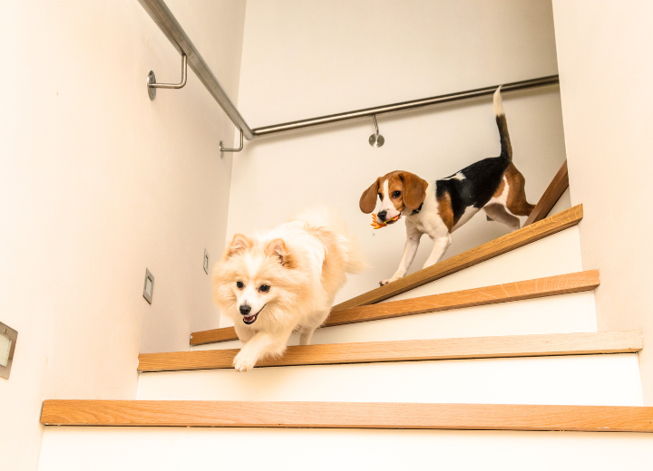 遠方の家族と話し合って決める｜火葬の進め方