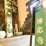 【ご返骨後の疑問】納骨や手元供養の選択肢