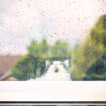 【悪天候の不安に】ペットの火葬日を変更したいとき