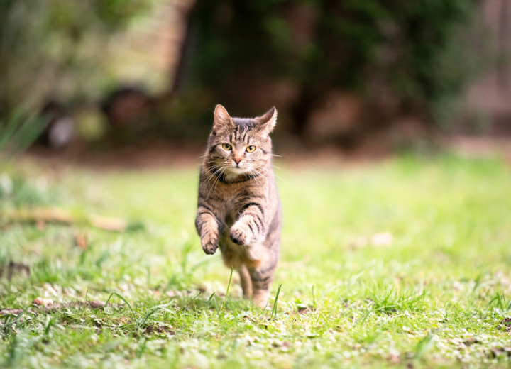 【火葬したくない方】埋葬・供養のご相談はこちらへ
