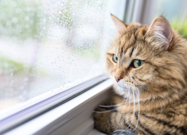 【福岡県で火葬後の不安に応える】動愛園の供養案内