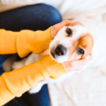 【事前に知って安心】火葬時間とご家族の過ごし方