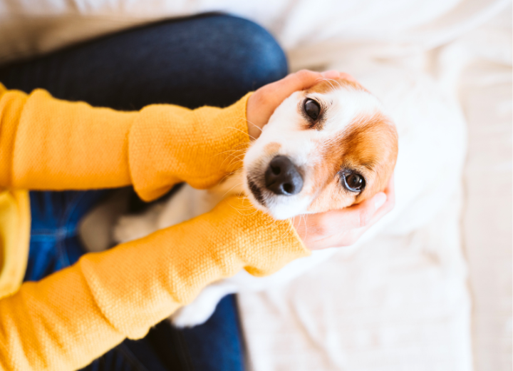 【事前に知って安心】火葬時間とご家族の過ごし方