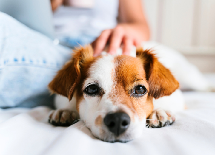 福岡で立ち会い火葬をご希望の方へ