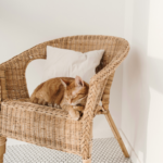 夜間に亡くなった時、何をすればいい？