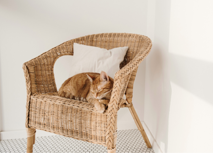 夜間に亡くなった時、何をすればいい？