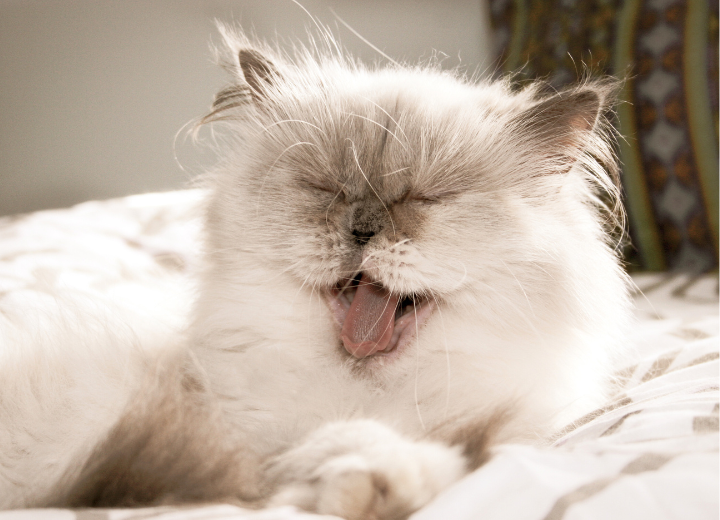 骨壷は持ち帰るべき？納骨すべき？