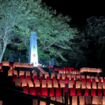 【動愛園　糸島霊園】美夜灯まつりのお知らせ