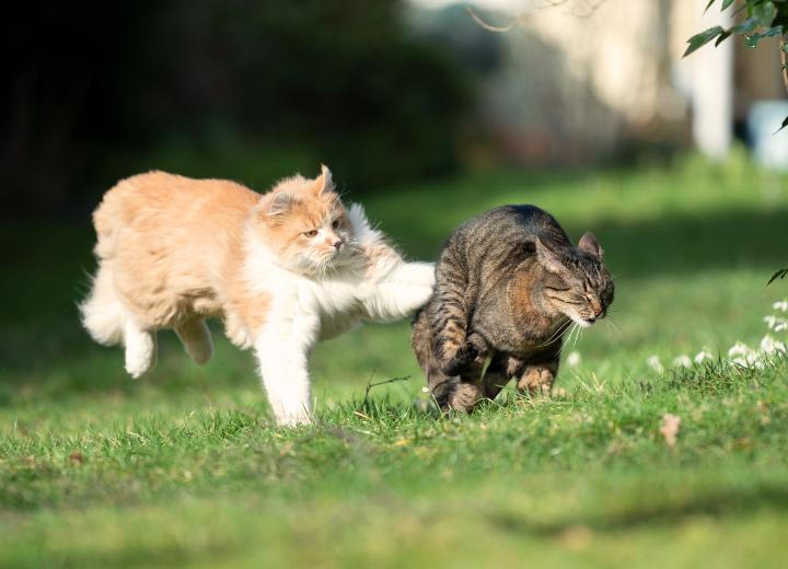 納骨後の供養は必要ですか？