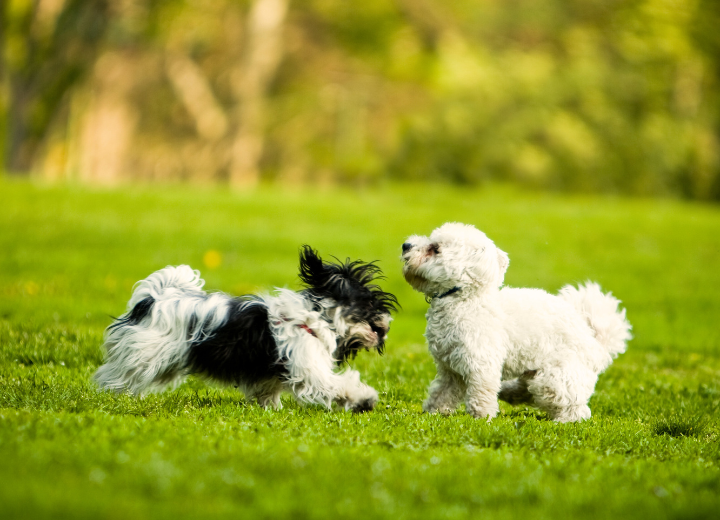 費用を抑えつつ後悔しない供養の形