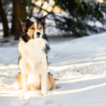 寒い季節のお別れで気をつけたいこと