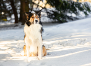 寒い季節のお別れで気をつけたいこと