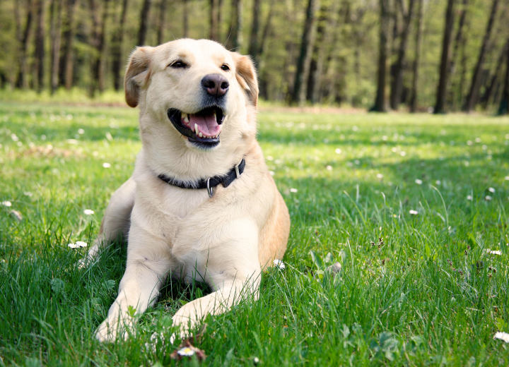 火葬したくない時の選択肢｜土葬・埋葬の注意点