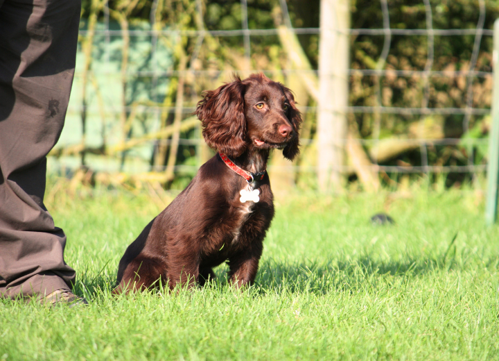 知っておこう｜初めての方が斎場で聞かれること